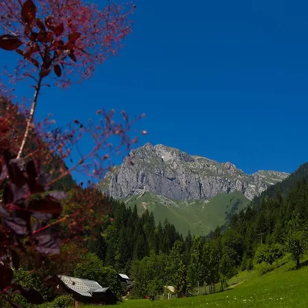 L'ensoleillé 3*